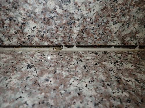 Figure 7: Unsealed gaps at the back of kitchen countertops, like the one shown here, provide cockroaches with easy access to hidden voids where they can shelter and reproduce. Additionally, trapped food debris and moisture within these crevices create ideal conditions for cockroach survival and can interfere with the effectiveness of bait treatments. Photo credit: Josh Shoemaker